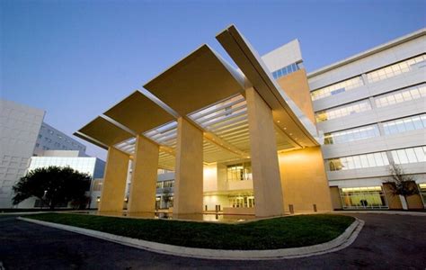 mayo clinic gynecology department.